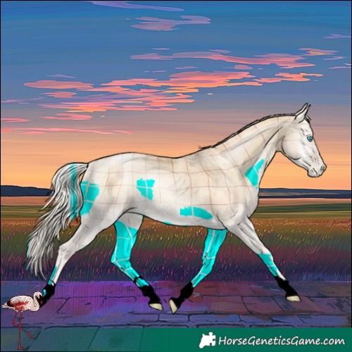 Horse Color:Plaid Silver Buckskin Pearl Onyx Rabicano