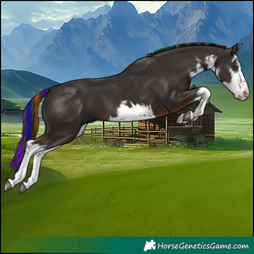 Horse Color:Painted White Spotted Liver Chestnut Varnish