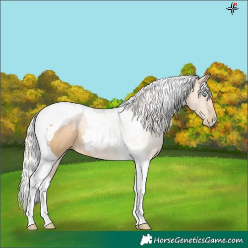 Horse Color:Silver Smoky Black Pearl Tobiano 