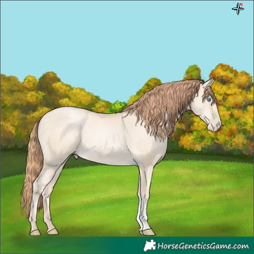 Horse Color:Classic Cream Champagne Pearl 