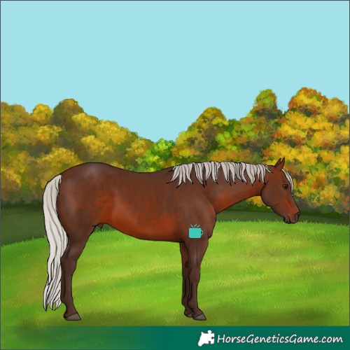 Horse Color:Silver Brown 