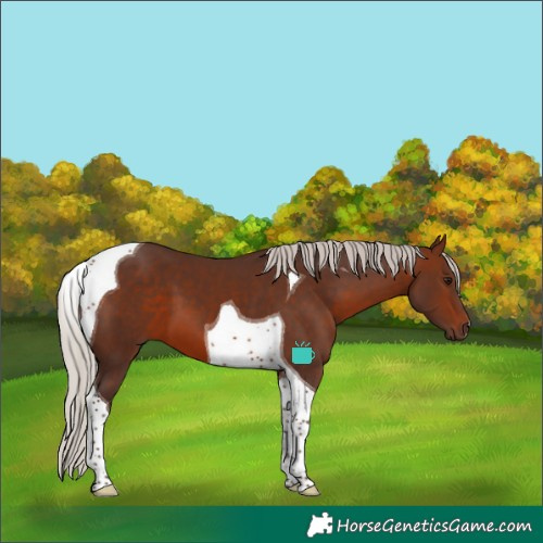Horse Color:Silver Bay Tobiano