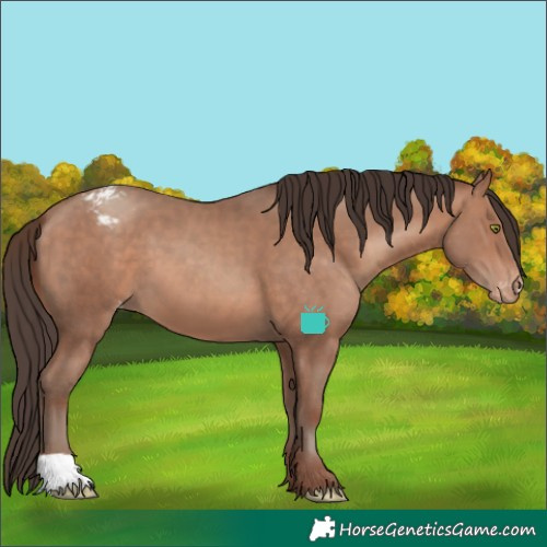 Horse Color:Sable Champagne Varnish