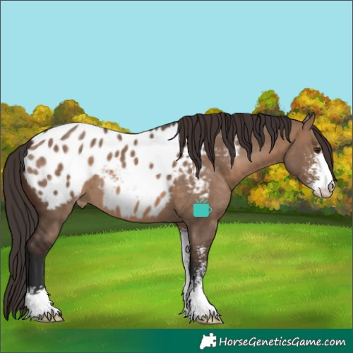 Horse Color:Brown Dun Sabino Blanket