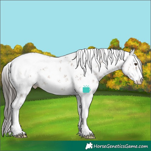Horse Color:White Spotted Liver Red Dun Sabino Blanket 