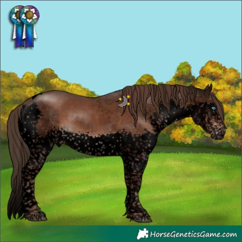 Horse Color:Void Liver Chestnut Splash Tobiano