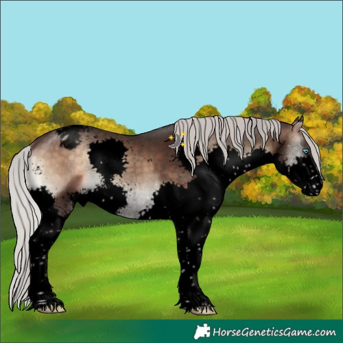 Horse Color:Void Silver Brown Onyx Sabino Splash Varnish