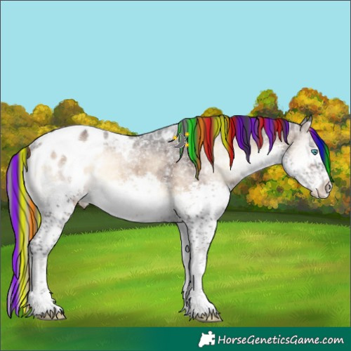 Horse Color:Painted Brown Ice Onyx Splash Tobiano Blanket 