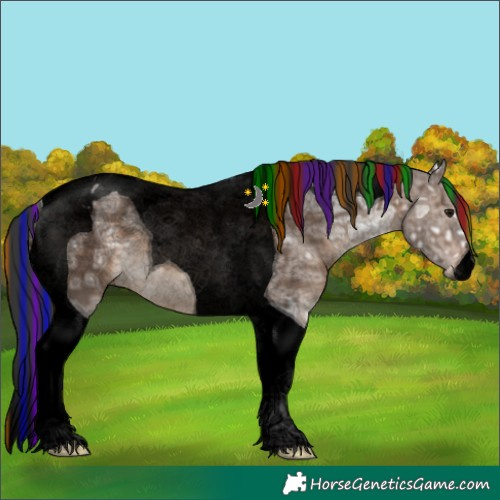Horse Color:Void Painted Brown Ice Dun Tobiano