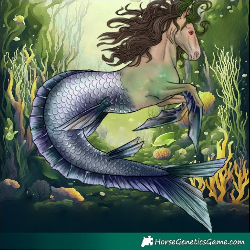 Horse Color:Amber Champagne