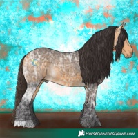 Horse Color:Bay Ice 