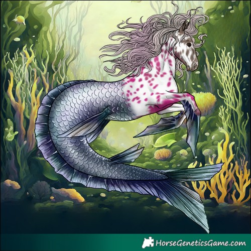 Horse Color:Silver Black Near Leopard