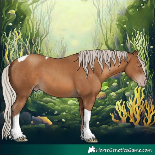 Horse Color:Gray Silver Classic Champagne Tobiano