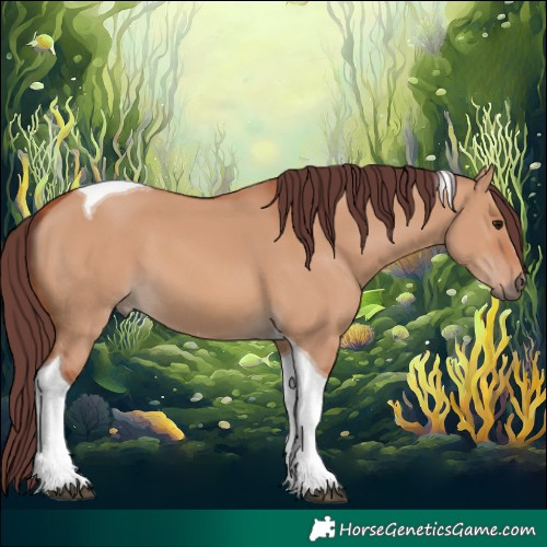 Horse Color:Chocolate Bay Dun Tobiano