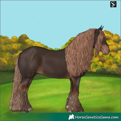 Horse Color:Liver Chestnut Rabicano