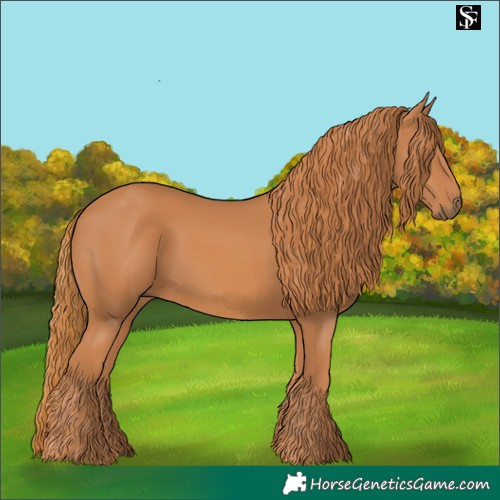 Horse Color:Chestnut 