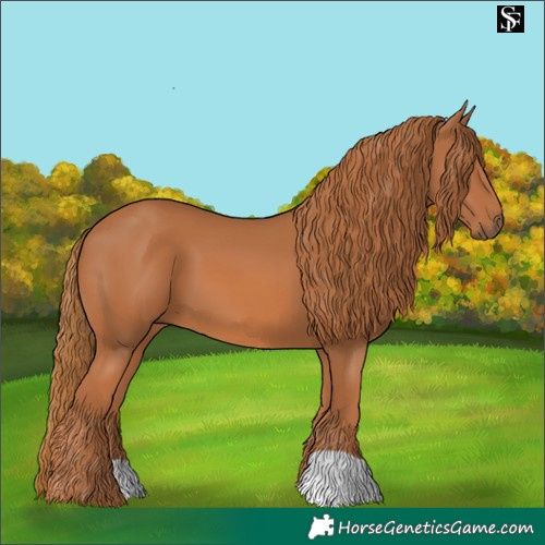 Horse Color:Chestnut 