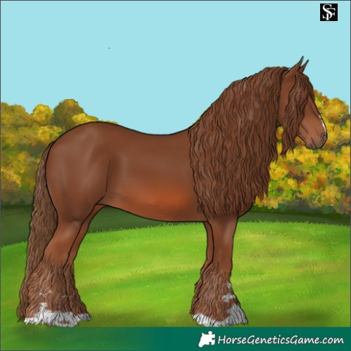 Horse Color:Chestnut 