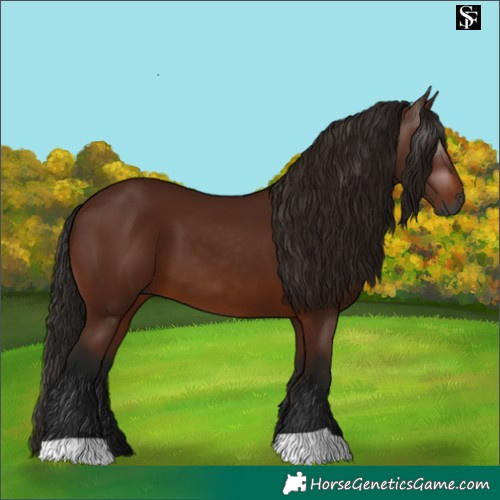 Horse Color:Gray Bay 