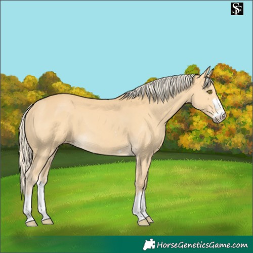 Horse Color:Pseudo Palomino 
