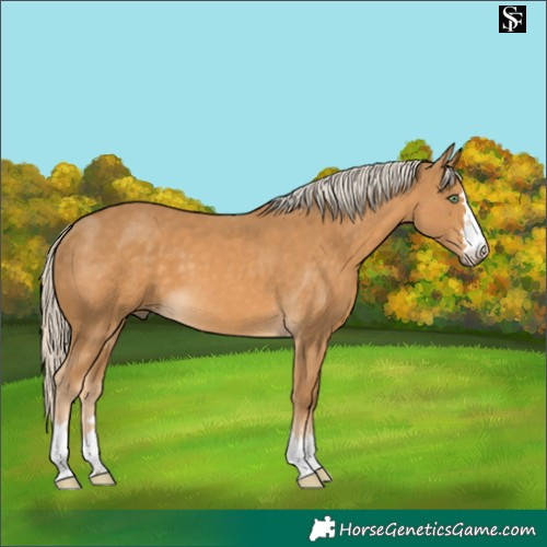 Horse Color:Pseudo Palomino 