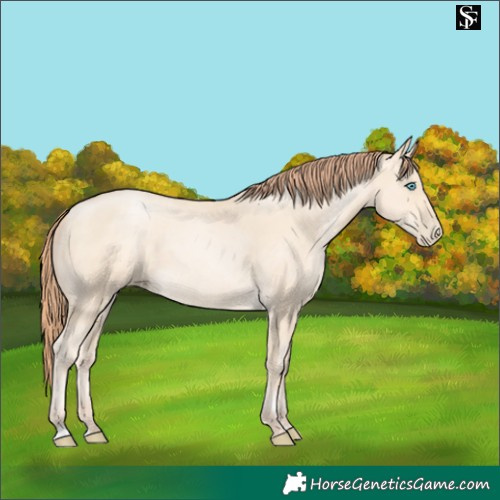 Horse Color:Sable Cream Champagne 
