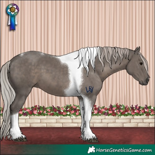 Horse Color:Silver Black Tobiano