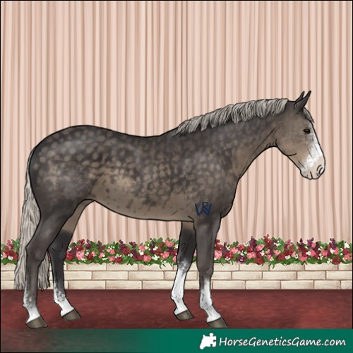 Horse Color:Silver Smoky Black Sabino 