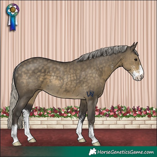 Horse Color:Silver Smoky Grullo Sabino Rabicano 