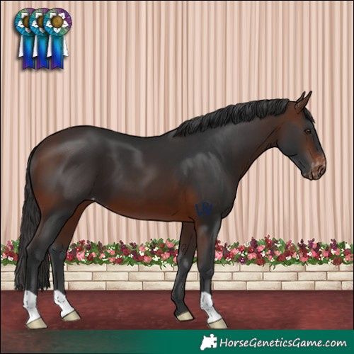 Horse Color:Brown Varnish