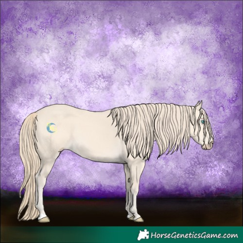 Horse Color:Perlino 