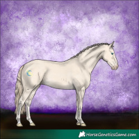 Horse Color:Perlino 