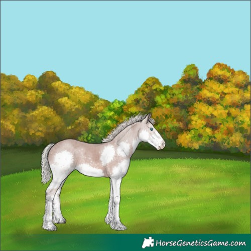 Horse Color:Silver Black Splash Tobiano