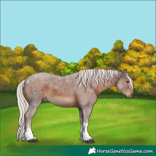 Horse Color:Powder White Silver Brown Tobiano