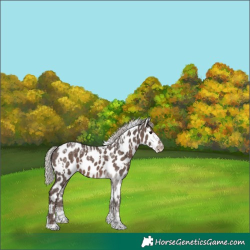 Horse Color:Powder White White Spotted Silver Black Leopard 
