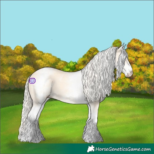 Horse Color:White Spotted Gold Cream Champagne 
