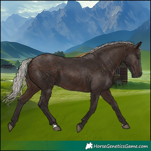 Horse Color:Silver Brown 