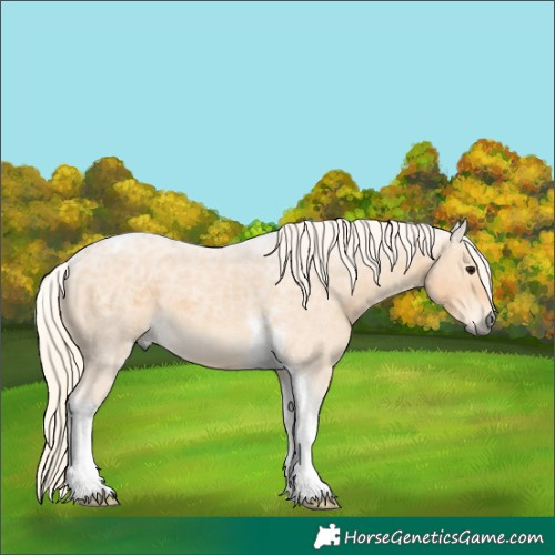 Horse Color:Silver Smoky Black Tobiano Rabicano