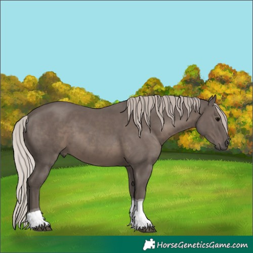 Horse Color:Silver Black Tobiano