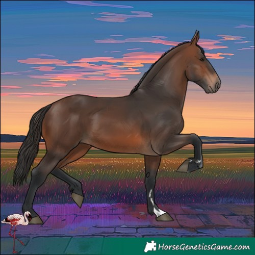 Horse Color:Brown 