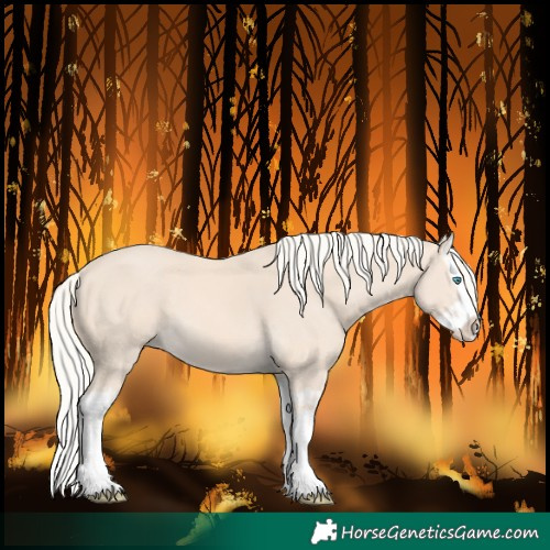 Horse Color:Cremello Splash and Cremello Splash