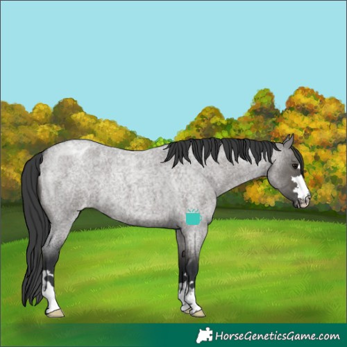 Horse Color:Grullo Roan Varnish Brindle