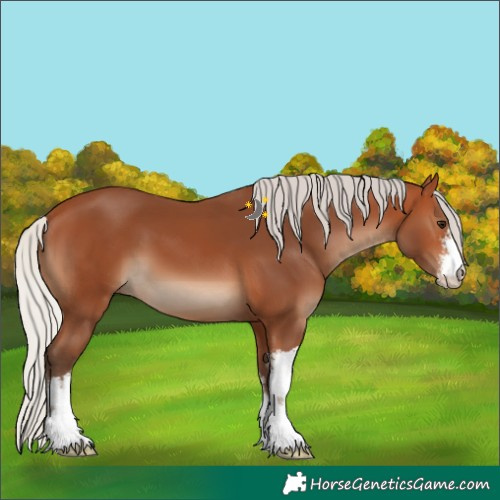 Horse Color:White Spotted Silver Bay