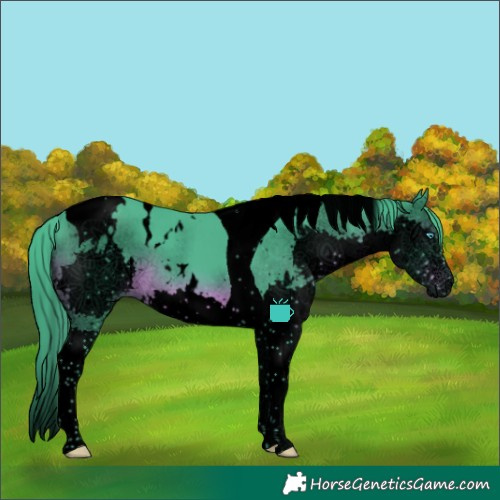 Horse Color:Void Watercolor White Spotted Black Splash Tobiano 