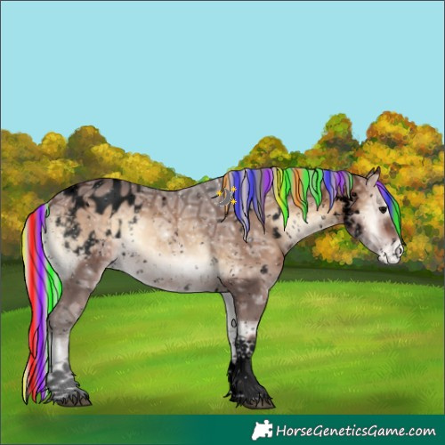 Horse Color:Void Painted White Spotted Silver Brown Ice Onyx Tobiano Blanket