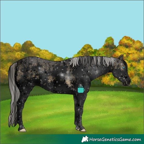 Horse Color:Void Silver Buckskin Sabino Splash