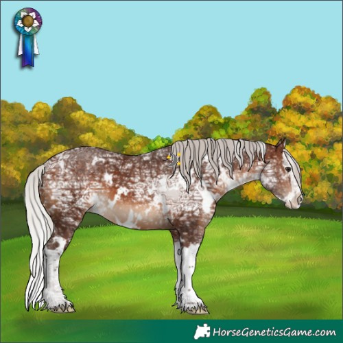Horse Color:White Spotted Silver Brown Ice Splash Varnish