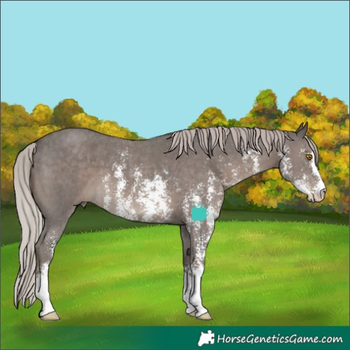 Horse Color:Silver Black Sabino