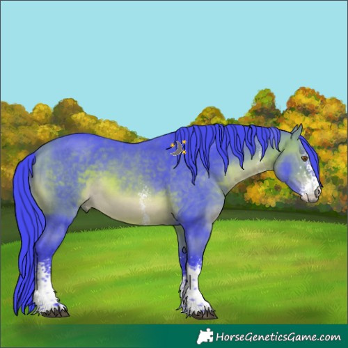 Horse Color:Watercolor Bay Sabino Tobiano