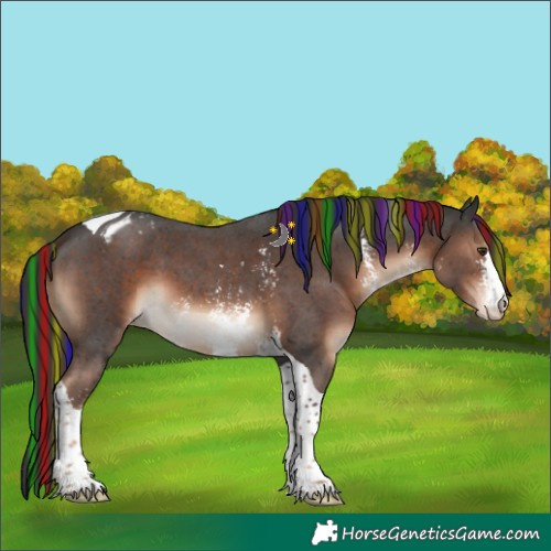 Horse Color:Painted Liver Chestnut Sabino Tobiano Blanket